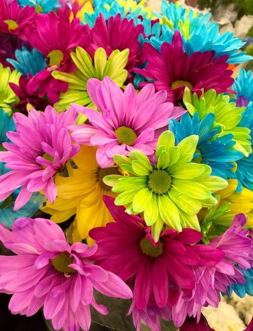 Popularity means it is harder to pick the right one from the bunch